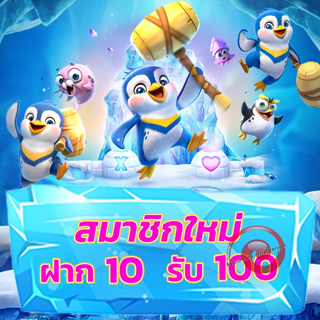 sbtbet111 ทางเข้า